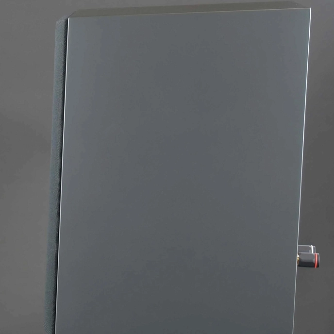 Bookshelf speakers Davis Acoustics Courbet 3 Grey - img.5