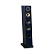 - img.3 Floorstanding Speakers Davis Acoustics Courbet N 5 Black - img.3