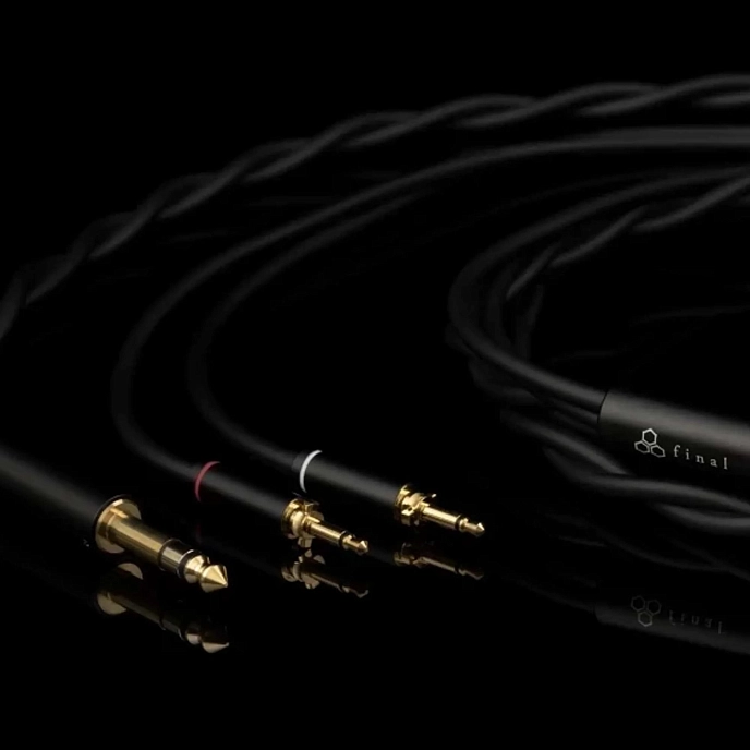 Over-ear headphones Final Audio D7000 Black - img.12