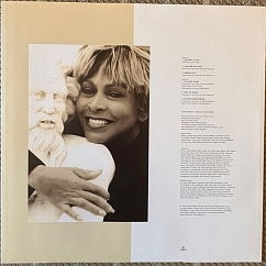 Vinyl Record Tina Turner - Tina Wildest Dreams - 2LP