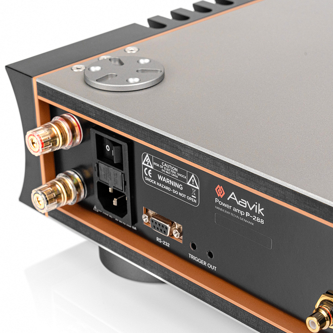 Power Amp Aavik P-288 Black Silver - img.3