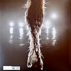 Vinyl Record Miley Cyrus - Something Beautiful (Transparent Red) LP