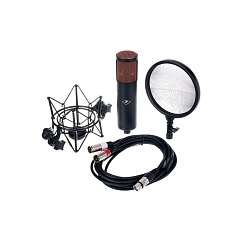 Studio microphone Antelope Audio Edge Duo