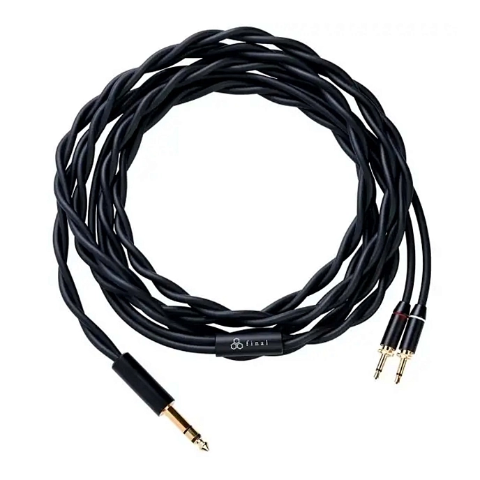 Over-ear headphones Final Audio D8000 Black - img.9