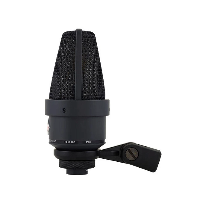 Studio microphone Neumann TLM 103MT black - img.5