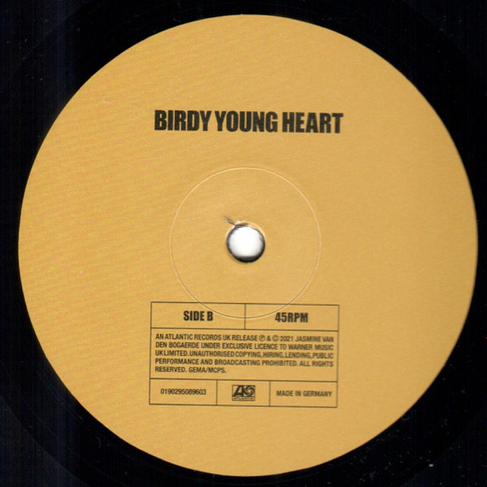 Vinyl Record Birdy - Young Heart - 2LP - img.7