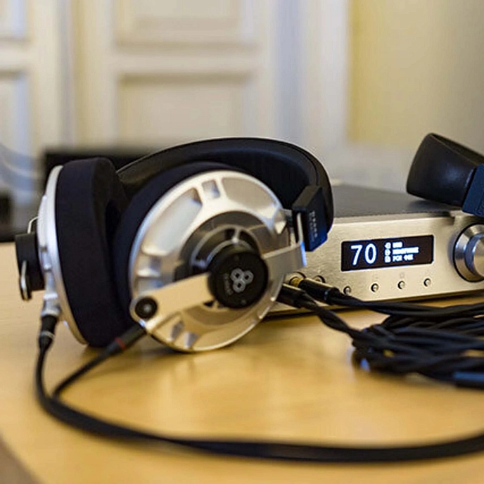 Over-ear headphones Final Audio D8000 Silver - img.10