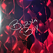 Vinyl Record Burna Boy - Love, Damini - 2LP - img.9