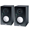 Magnat Multi Monitor 220 Black