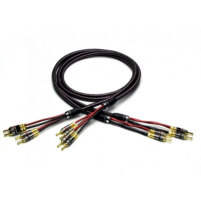 Cable Vincent Bi-Wire Speaker Cable Banana 3m - img.0