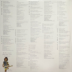 Vinyl Record Stevie Nicks – Street Angel (coloured) - 2LP