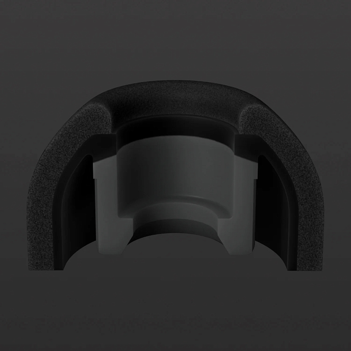 Eartips Final Audio Fusion-G size M 4pcs Gray - img.4