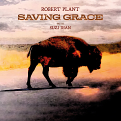 Vinyl Record Robert Plant With Suzi Dian – Saving Grace (Fruit Punch) LP