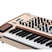 Synthesizer Arturia PolyBrute 12 Cream - img.5