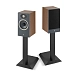 Bookshelf speakers Focal Theva N1 Dark Wood - img.3