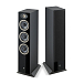 Floorstanding Speakers Focal Theva N2 Black - img.0