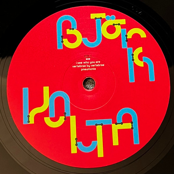 Vinyl Record Bjork - Volta - 2LP - img.8