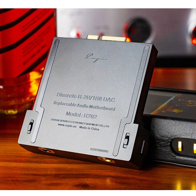 DAC Cayin R202 Motherboard with R-2R DAC - img.5