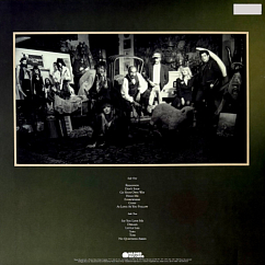 Vinyl Record Fleetwood Mac Greatest Hits (coloured) LP