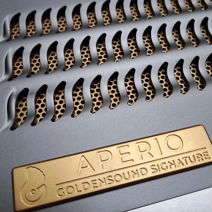 Headphone Amplifiers and DACs Warwick Acoustics Aperio Amplifier Golden Sound - img.6