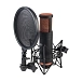 Studio microphone Antelope Audio Edge Duo - img.3