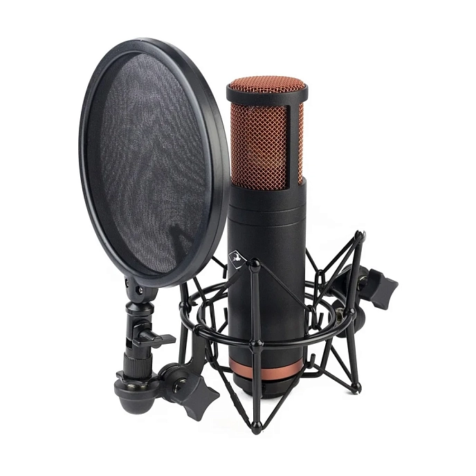 Studio microphone Antelope Audio Edge Duo - img.3