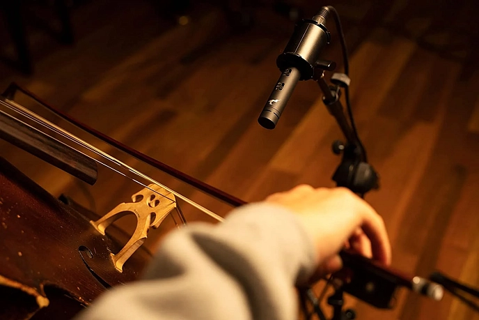 Instrument microphone Antelope Audio Edge Note - img.7