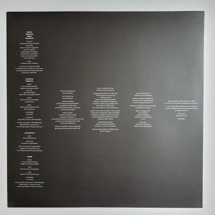 Vinyl Record Bjork – Fossora (Turquoise 2023 (2nd pressing)) 2LP - img.5