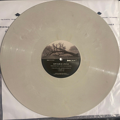 Vinyl Record Gary Clark Jr. - Jpeg Raw (Indie Exclusive, Colored) - 2LP