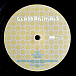 Vinyl Record Glass Animals - How To Be A Human Being LP - img.4