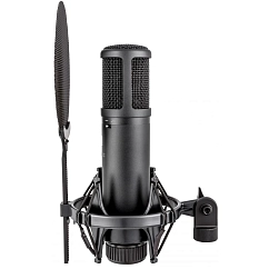 Studio microphone SE Electronics SE2200