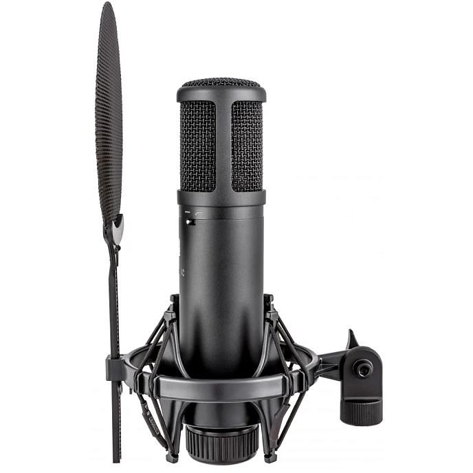 Studio microphone SE Electronics SE2200 - img.4