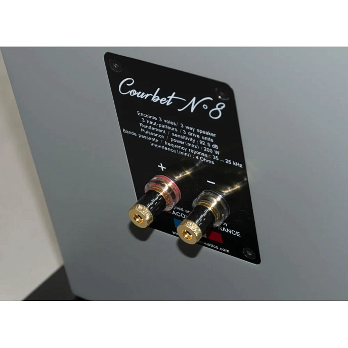 Floorstanding Speakers Davis Acoustics Courbet N 8 Grey Matt - img.10