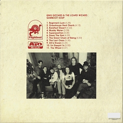 Vinyl Record King Gizzard & The Lizard Wizard - Gumboot Soup LP