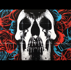 Vinyl Record Deftones - Deftones