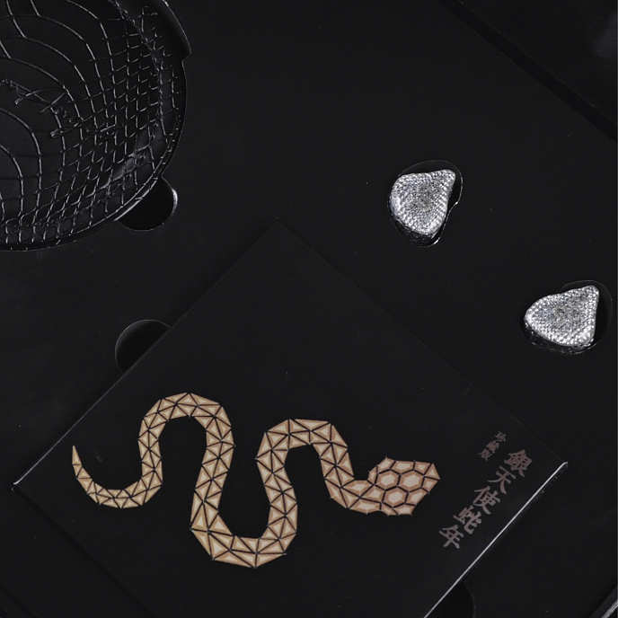 In-ear headphones EarAcoustic SPA Limited Edition Silver Snake Collectors Version Silver - img.13