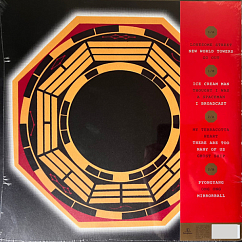 Vinyl Record Blur – The Magic Whip - 2LP