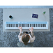 Synthesizer Casio PX-S1100 Calm Blue - img.9 Synthesizer Casio PX-S1100 Calm Blue - img.9