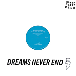 Vinyl Record LCD Soundsystem – Home (Tom Sharkett Edit) LP