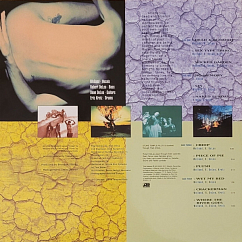 Vinyl Record Stone Temple Pilots – Core (30th Anniversary Deluxe Edition) - 4LP