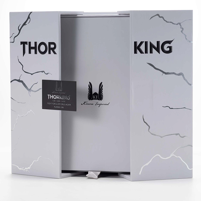 In-ear headphones Kinera ThorKing Matte Silver - img.23