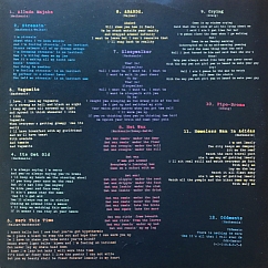 Vinyl Record King Gizzard & The Lizard Wizard - Oddments (Plum) LP