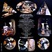 Vinyl Record Angine De Poitrine - Vol. II LP - img.2