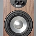 Bookshelf speakers Amphion Argon3S Walnut - img.8