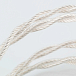 In-ear headphones MoonDrop Pavane Silver - img.6