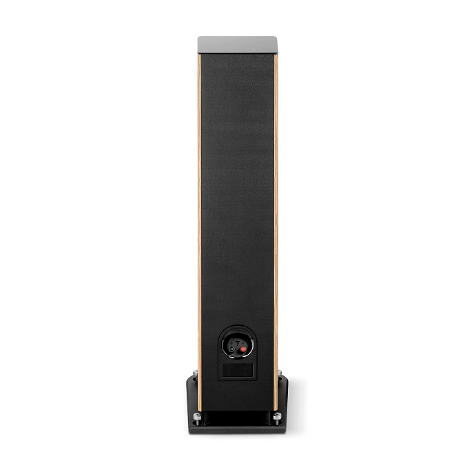 Floorstanding Speakers Focal Aria Evo X N2 Walnut - img.3
