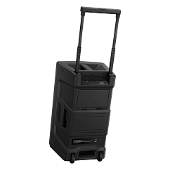 Speaker System Pioneer AlphaTheta Wave-Eight Black