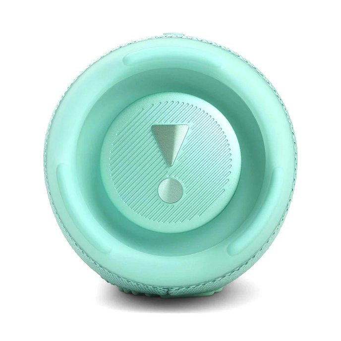 Portable speaker JBL Charge 5 Teal - img.6