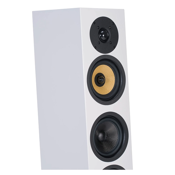 Floorstanding Speakers Davis Acoustics Courbet N 5 White Matte - img.9
