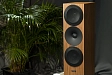 Floorstanding Speakers Amphion Helium520 Walnut - img.7